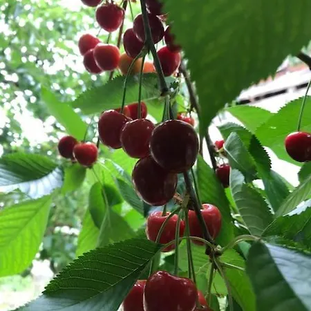 Spacieux Duplex 1 A 6 Personnes Апартаменты